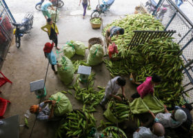 Chợ bắp ngã ba Bầu - Chợ bắp lớn nhất Sài Gòn